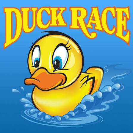 1 X STORM EMERALDA DUCKY